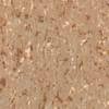 Pardoseli PVC, pardoseli, pardoseli omogen, pardoseli pvc eterogene, dale pvc, dale, pardoseli pvc pentru sport, tapet pvc, tapet, linoleum, pardoseli spitale, pardoseli cabinete medicale, pardoseli scoli