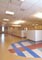 Pardoseli PVC, pardoseli, pardoseli omogen, pardoseli pvc eterogene, dale pvc, dale, pardoseli pvc pentru sport, tapet pvc, tapet, linoleum, pardoseli spitale, pardoseli cabinete medicale, pardoseli scoli