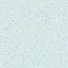 Pardoseli PVC, pardoseli, pardoseli omogen, pardoseli pvc eterogene, dale pvc, dale, pardoseli pvc pentru sport, tapet pvc, tapet, linoleum, pardoseli spitale, pardoseli cabinete medicale, pardoseli scoli