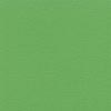 Pardoseli PVC, pardoseli, pardoseli omogen, pardoseli pvc eterogene, dale pvc, dale, pardoseli pvc pentru sport, tapet pvc, tapet, linoleum, pardoseli spitale, pardoseli cabinete medicale, pardoseli scoli