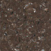 Pardoseli PVC, pardoseli, pardoseli omogen, pardoseli pvc eterogene, dale pvc, dale, pardoseli pvc pentru sport, tapet pvc, tapet, linoleum, pardoseli spitale, pardoseli cabinete medicale, pardoseli scoli